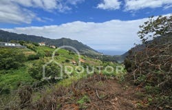 Porto da Cruz, Madeira