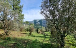 Torres do Mondego, Coimbra District