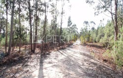 77 R. dos Moinhos, Santarém, Santarém District 2490