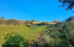 Ferreiras, Algarve