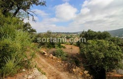 Loule, Faro