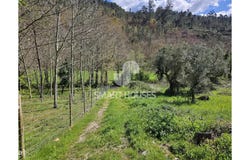 Arganil, Coimbra District