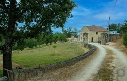 Almoster, Leiria 3250