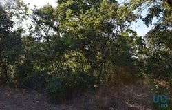 Ferreira do Zêzere, Santarém 2240-300