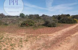 Lagos, Faro 8600-000
