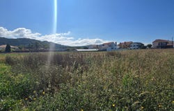Regueira de Pontes, Braga