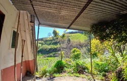 Ilha da Madeira, Madeira
