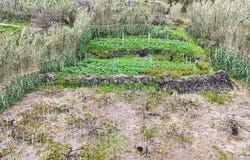 Ilha de São Miguel, Azores
