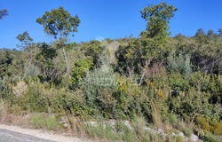 Malhou, Louriceira e Espinheiro, Alcanena, Santarém District 2380
