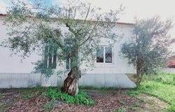 Leiria, Leiria District