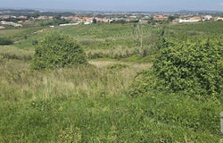 Lisboa, Lisbon
