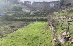 Vila Real, Vila Real District