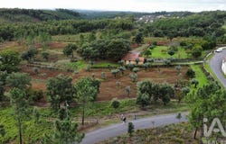 Sertã, Castelo Branco 6100
