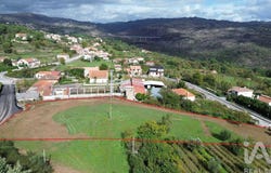 Vila Real, Vila Real District