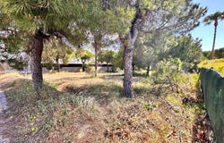 Almancil, Algarve 8135