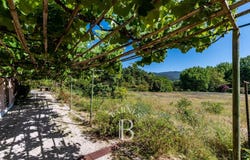 Colares, Lisbon 2705