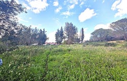 Portimão, Portimão, Algarve