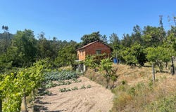 São João da Serra, Viseu District