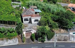 Sao Jorge, Madeira 9230