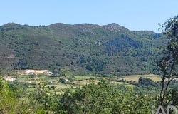 Vila Real, Vila Real District