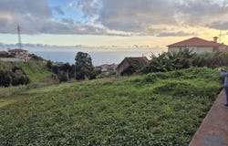 Canhas, Madeira 9360