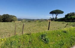 Leiria, Leiria District