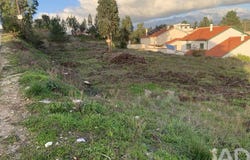 Leiria, Leiria District