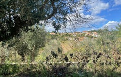 Rio de Moinhos, Porto District