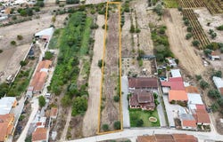 Cantanhede, Coimbra District