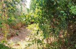 Antuzede e Vil de Matos, Coimbra District