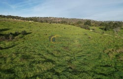 Albufeira e Olhos de Água, Algarve