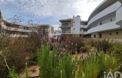 Faro, Algarve