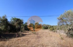 Faro, Faro