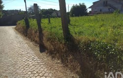 Braga, Braga