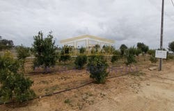 Albufeira, Faro