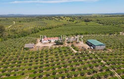 Fronteira, Portalegre 7460