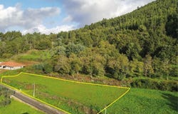 Miranda do Corvo, Coimbra District