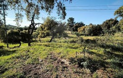 Portalegre, Portalegre District 7340
