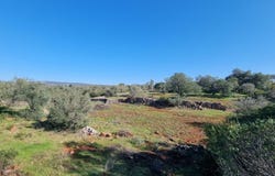 São Bartolomeu de Messines, Algarve
