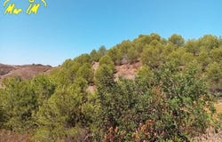 Castro Marim, Algarve 8950-317