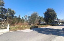 São Roque, Aveiro District