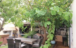 Lagos, Algarve 8600