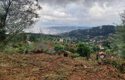 Amarante, Porto District