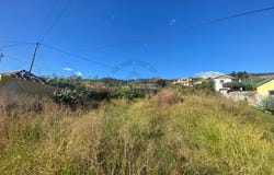 São Roque, Madeira