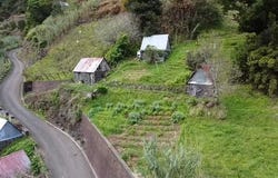Ilha da Madeira, Madeira