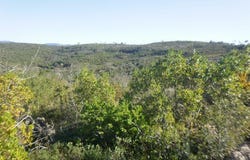 Podentes, Coimbra District