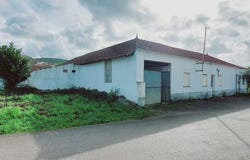 Leiria, Leiria District
