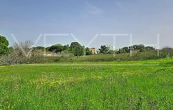 Sesimbra (Castelo), Setubal