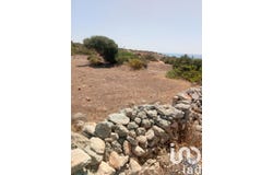 Porches, Algarve 8400