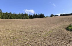 Ilha de São Miguel, Azores